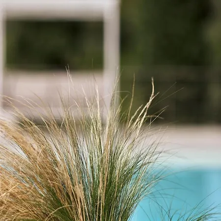 Villa La Residenza *